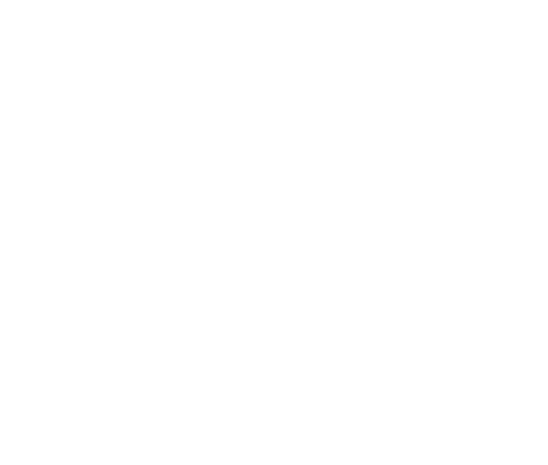 Schiff